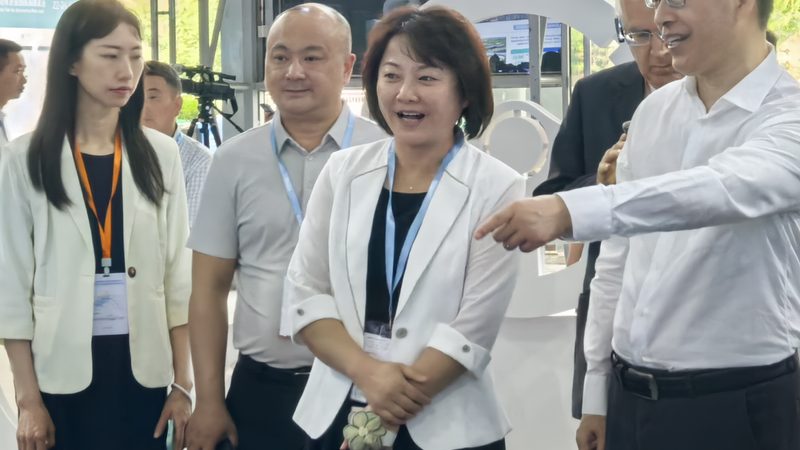 根据以上因素，刹车盘价格区间大致如下：
